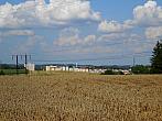 Borovina