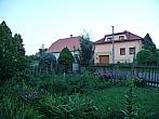 Třibřichy