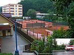 Borovina
