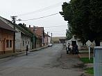 Třibřichy