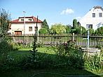 Třibřichy