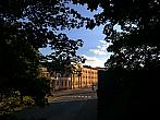Borovina