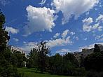 Borovina