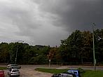 Borovina