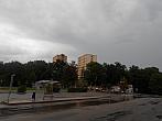 Borovina