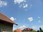 Třibřichy