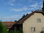 Třibřichy