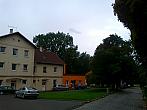 Borovina