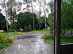 Borovina