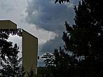 Borovina