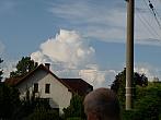 Třibřichy