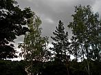 Borovina