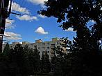 Borovina