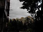 Borovina