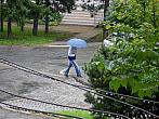 Borovina