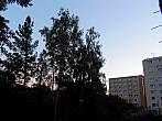 Borovina