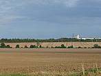Třibřichy