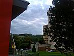Borovina