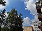 Borovina