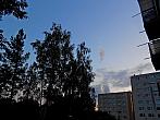 Borovina