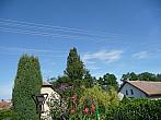 Třibřichy
