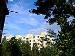 Borovina