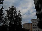 Borovina