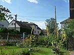 Třibřichy
