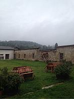 Borovná