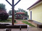 Borovná