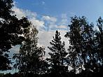 Borovina