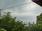 Třibřichy