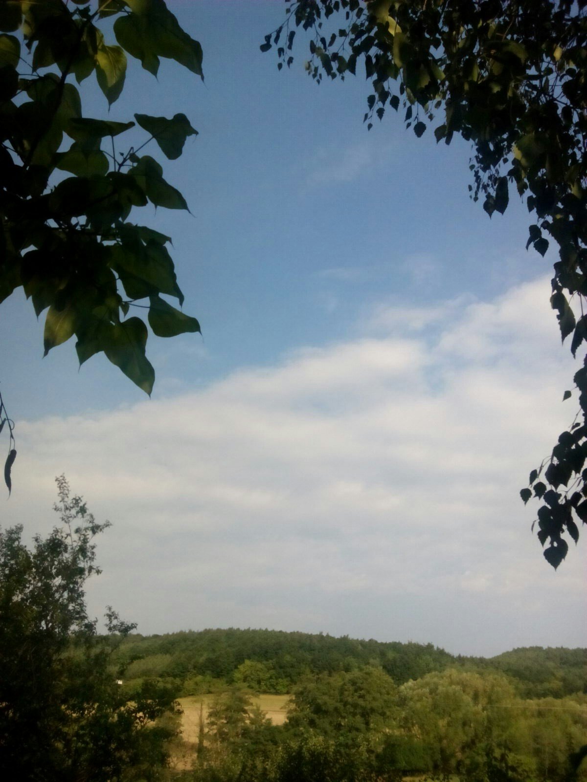 Habrovany