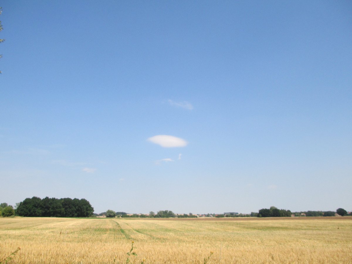 Ostrá