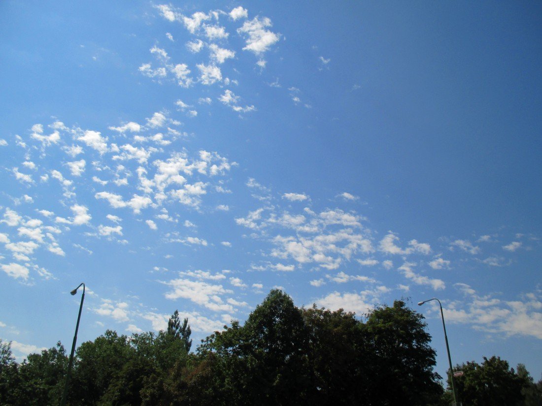 Borovina