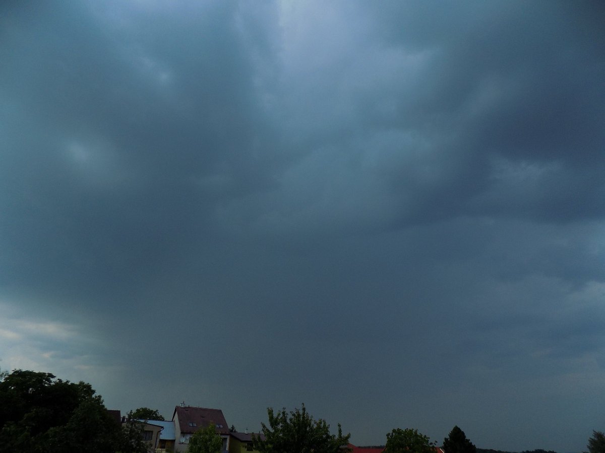 Kvasice