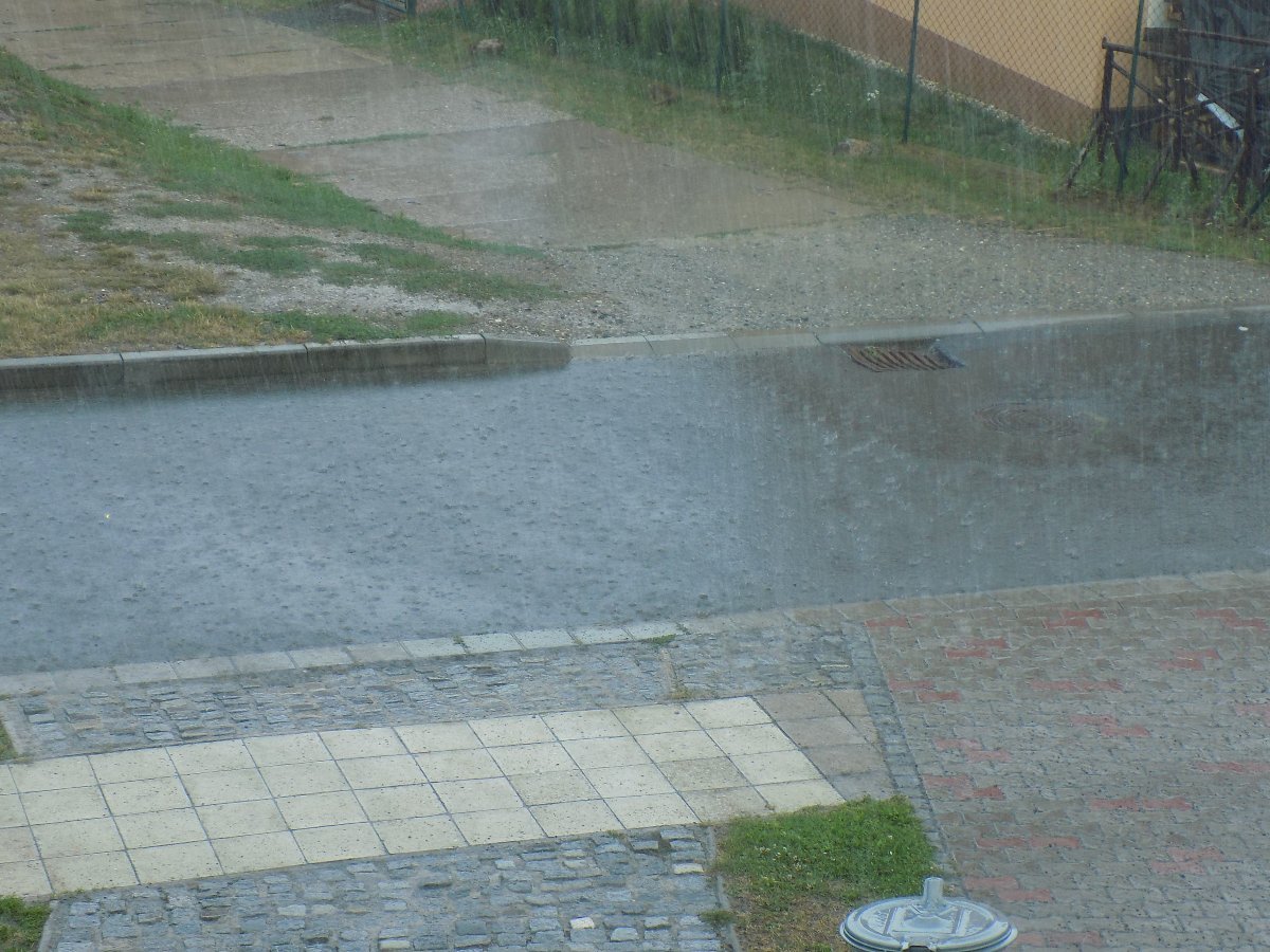 Kvasice