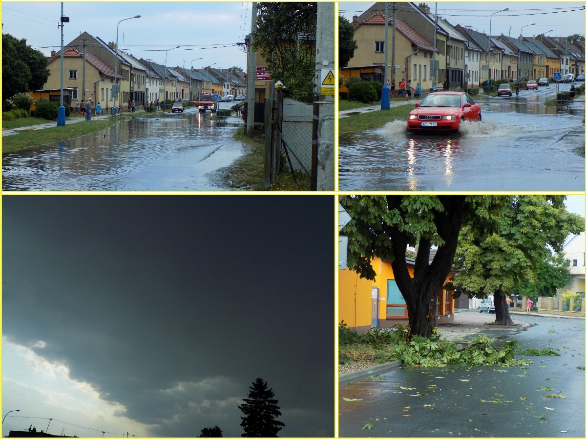 Kvasice