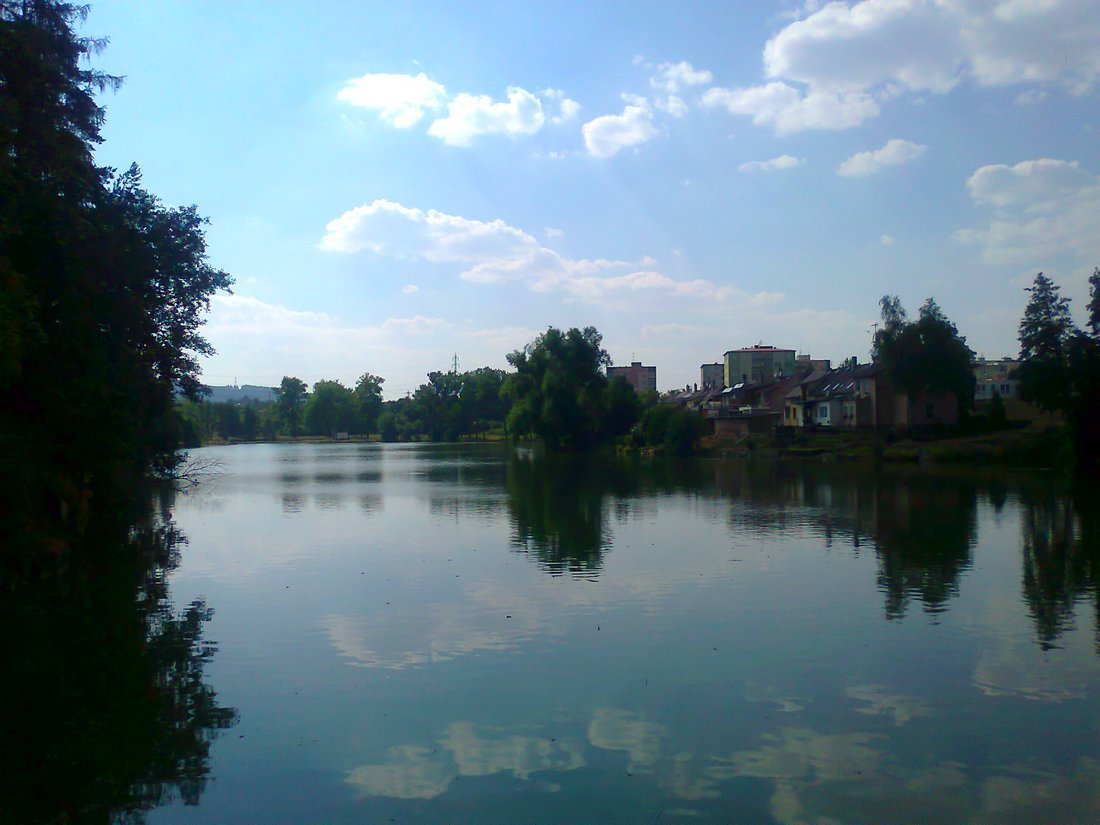 Borovina