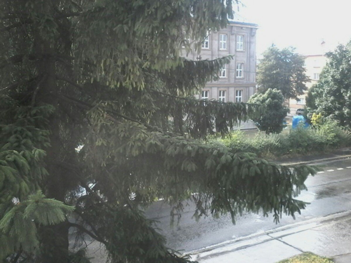 Český Těšín
