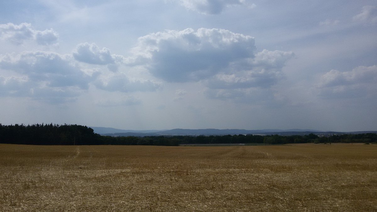 Vidov