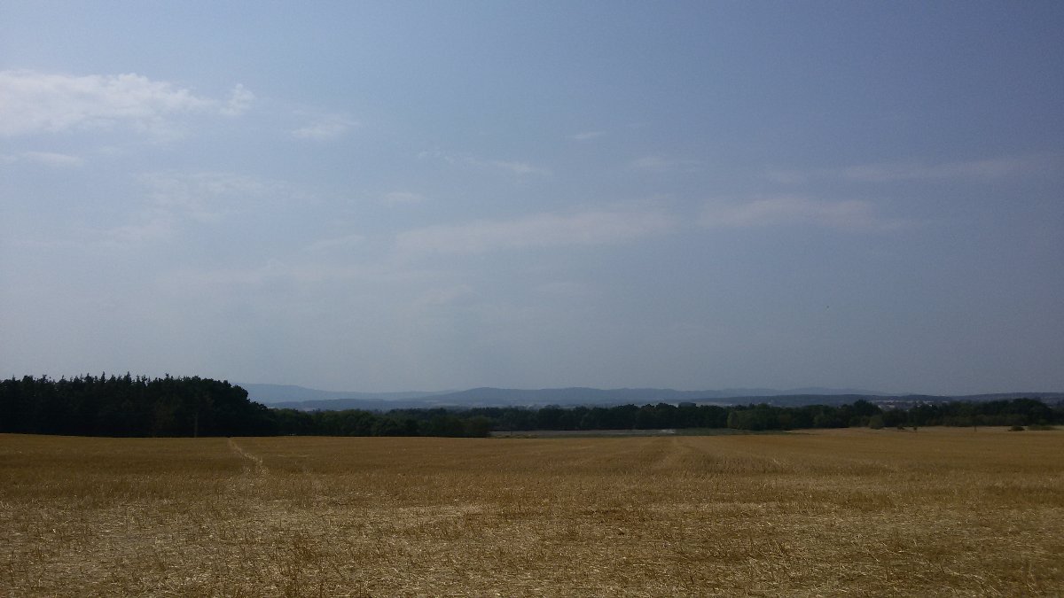 Vidov