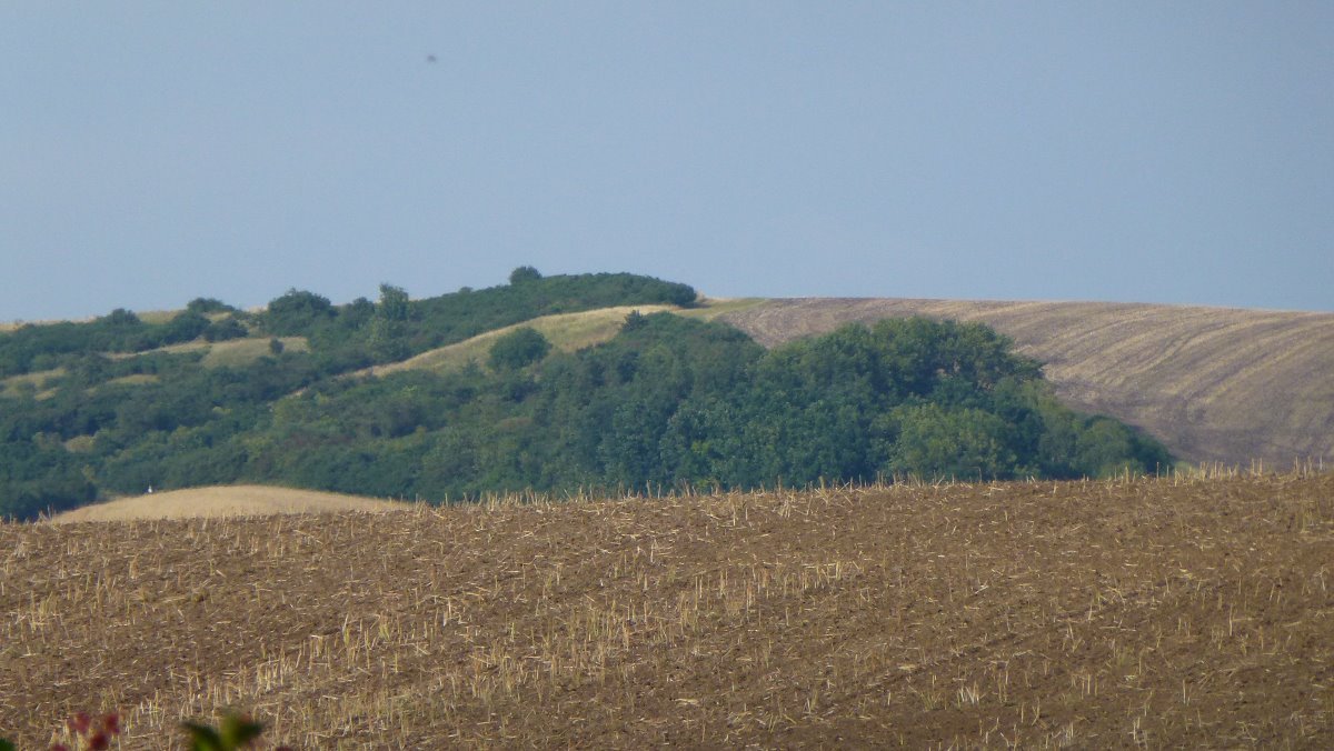 Letonice