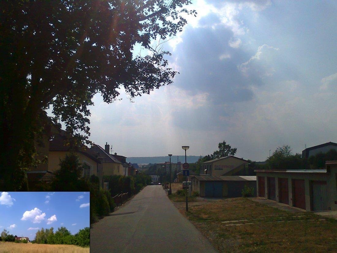 Borovina