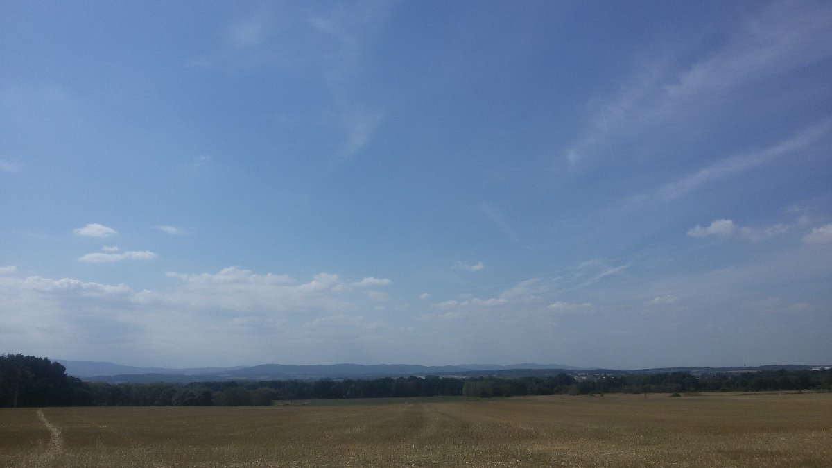 Vidov