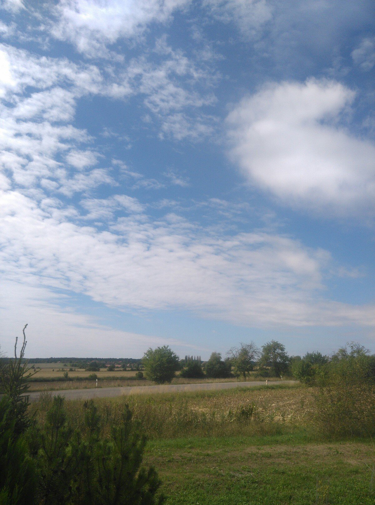 Dětenice
