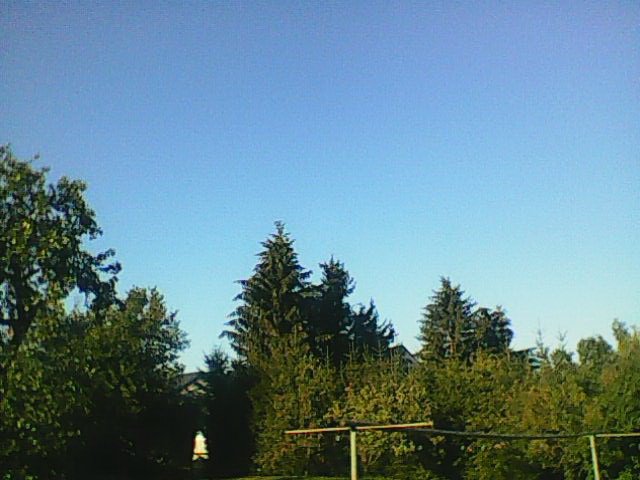 Mosty