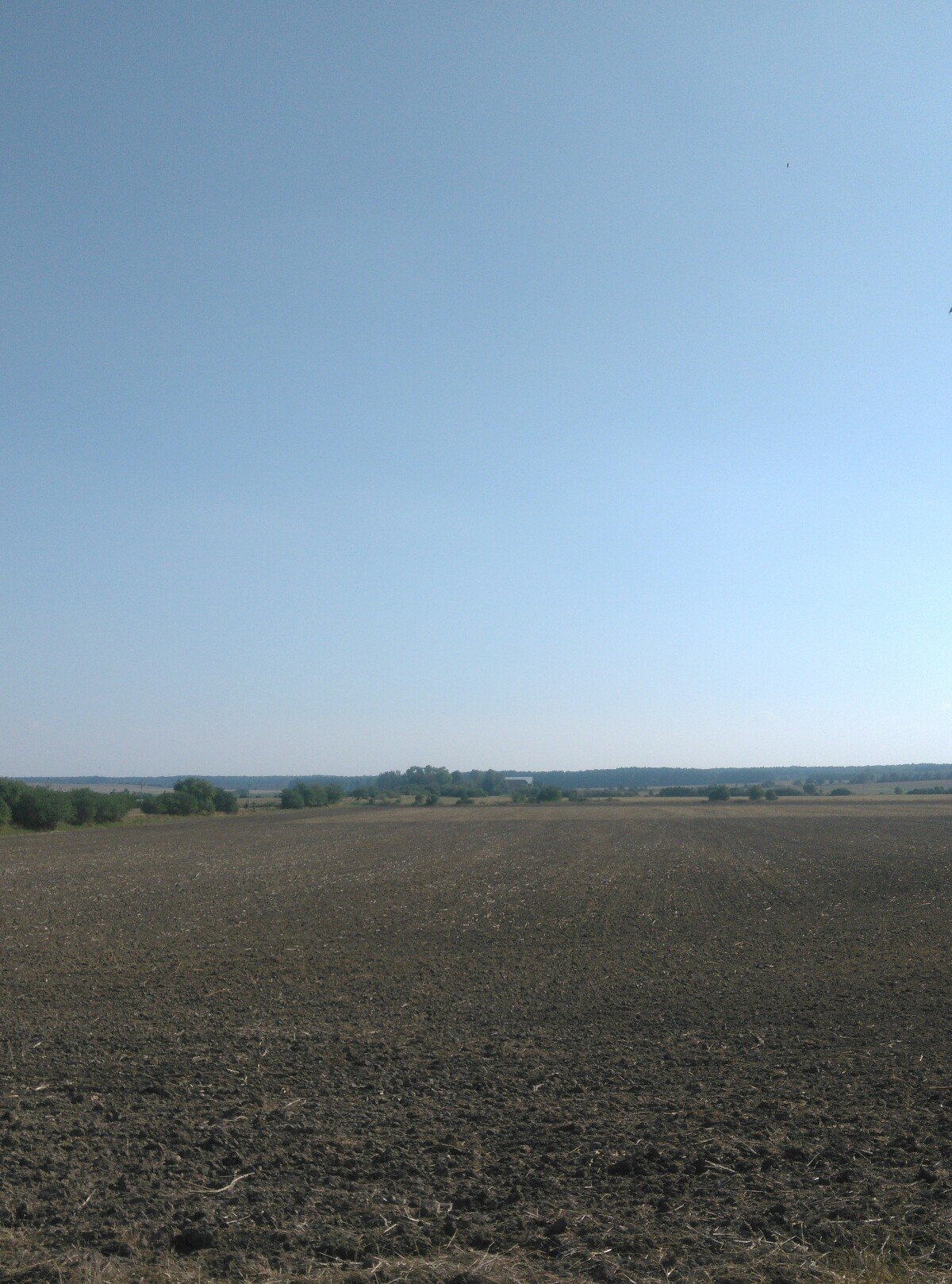 Dětenice