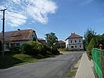 Třibřichy
