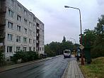 Borovina